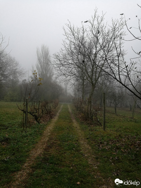 Balatonrendes