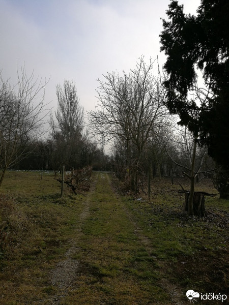 Balatonrendes
