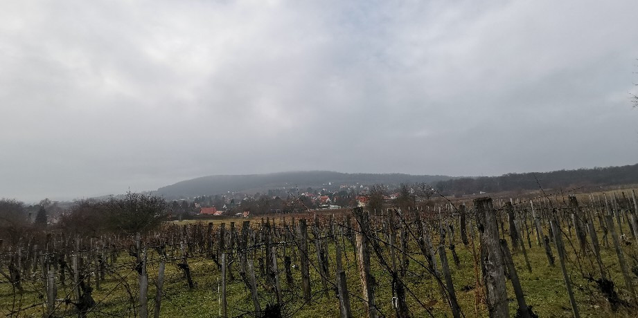 Balatonrendes