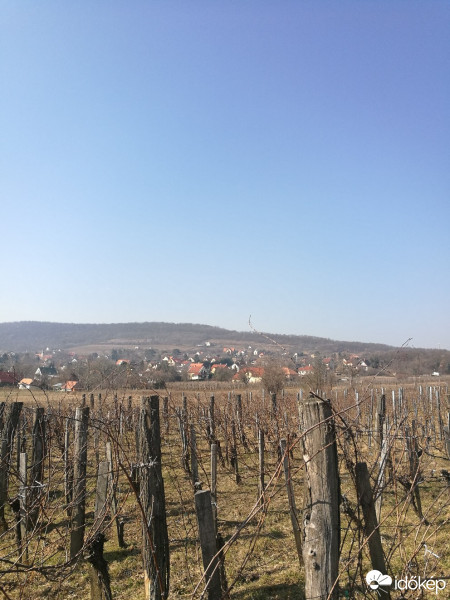 Balatonrendes