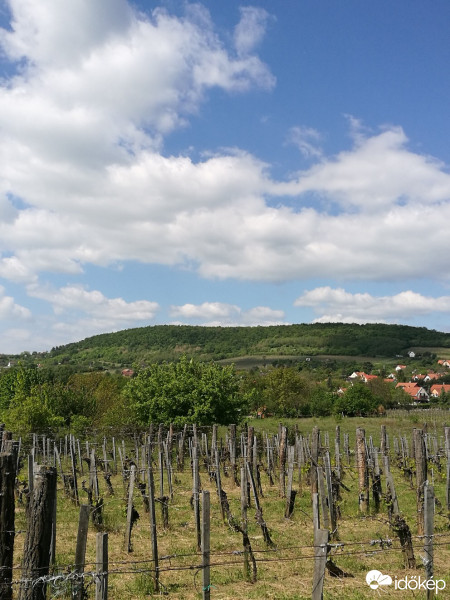 Balatonrendes