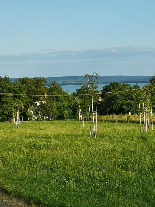 Balatonrendes