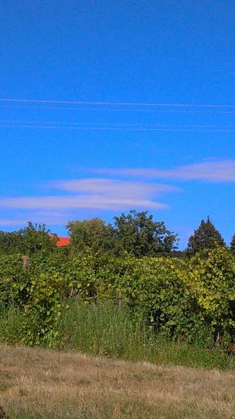 Balatonrendes