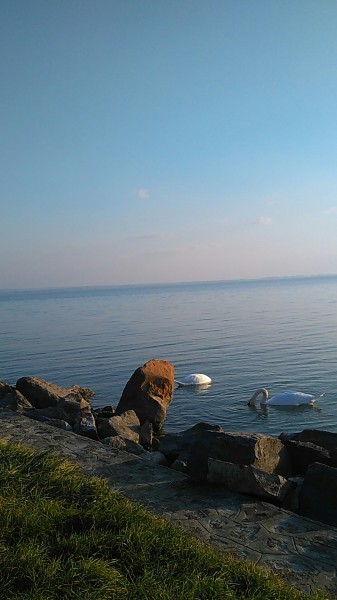 Balatonrendes