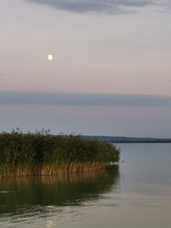 Balatonrendes