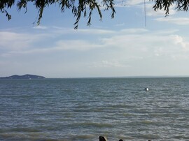 Balatonrendes