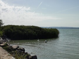 Balatonrendes