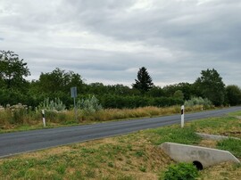 Balatonrendes