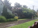 Csanádapáca