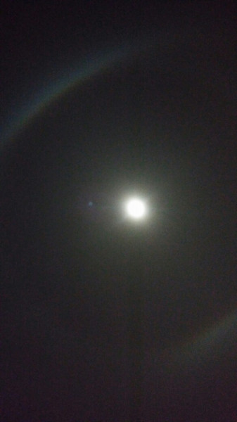 Budapest XV.ker - Pestújhely