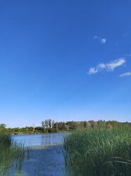 Majosháza