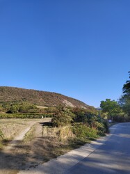Mór