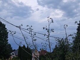 Nagykanizsa