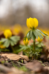 fintamariann fotója