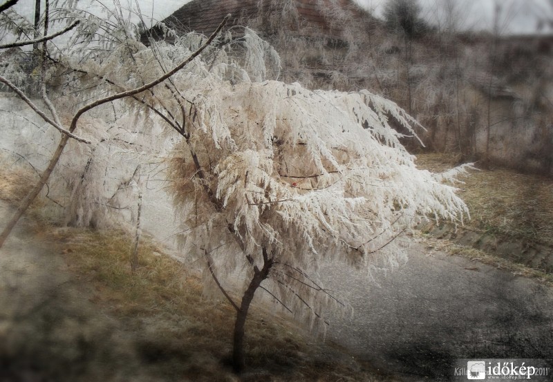 A tél arca...