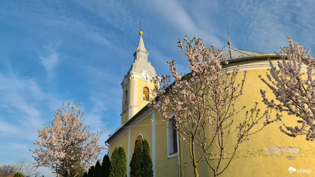 Szerep