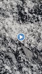 Budapest II.ker - Törökvész