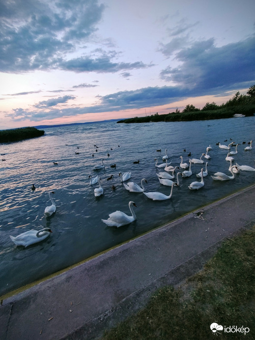 Kiskunfélegyháza