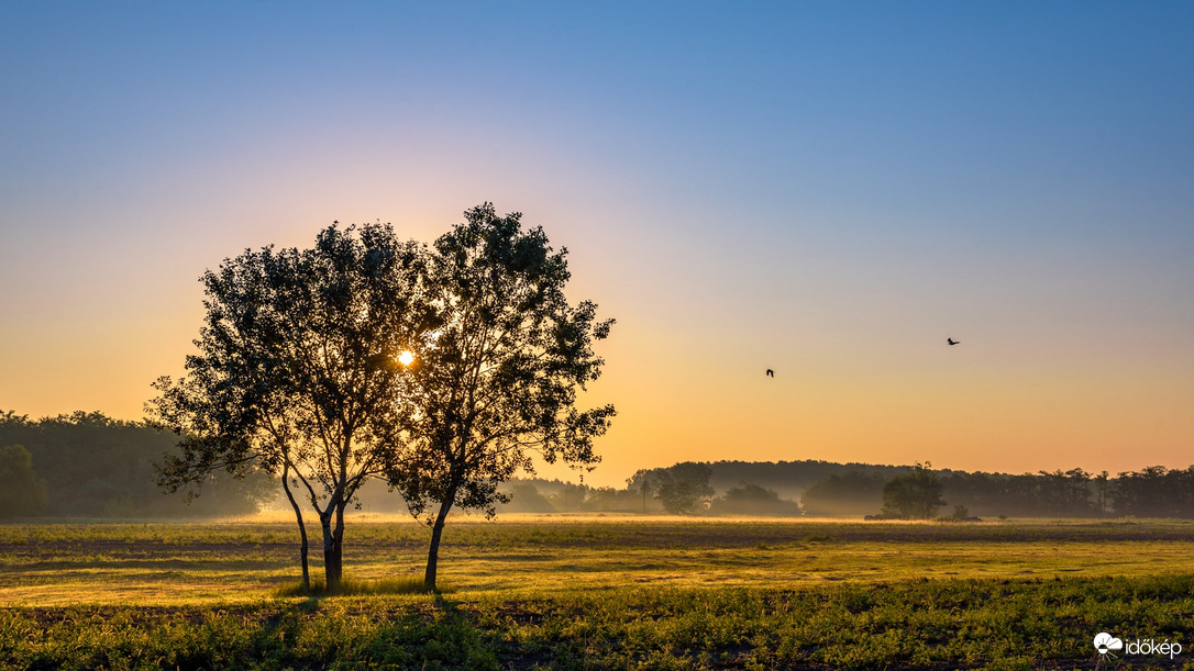 Párban szép az élet! Ver.2  :) HN