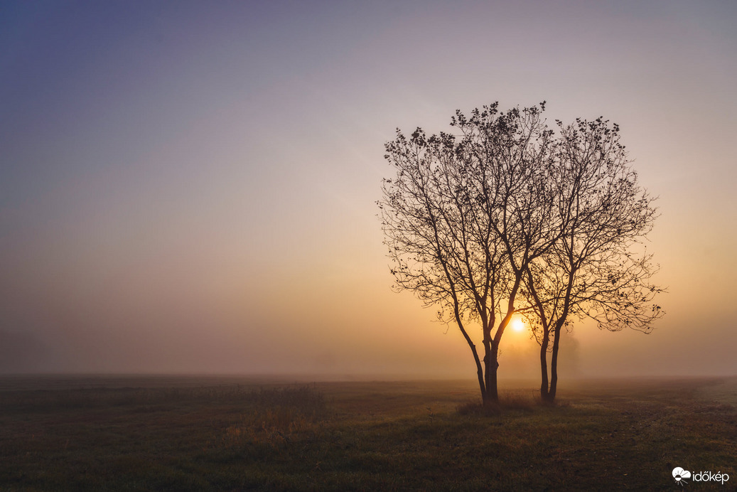 Párban szép az élet!  :)