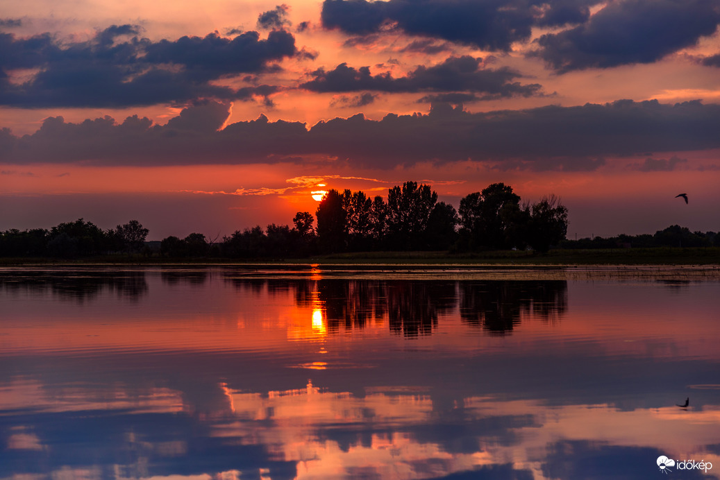 4 éve készült a bivalyrezervátumnál! HN:)