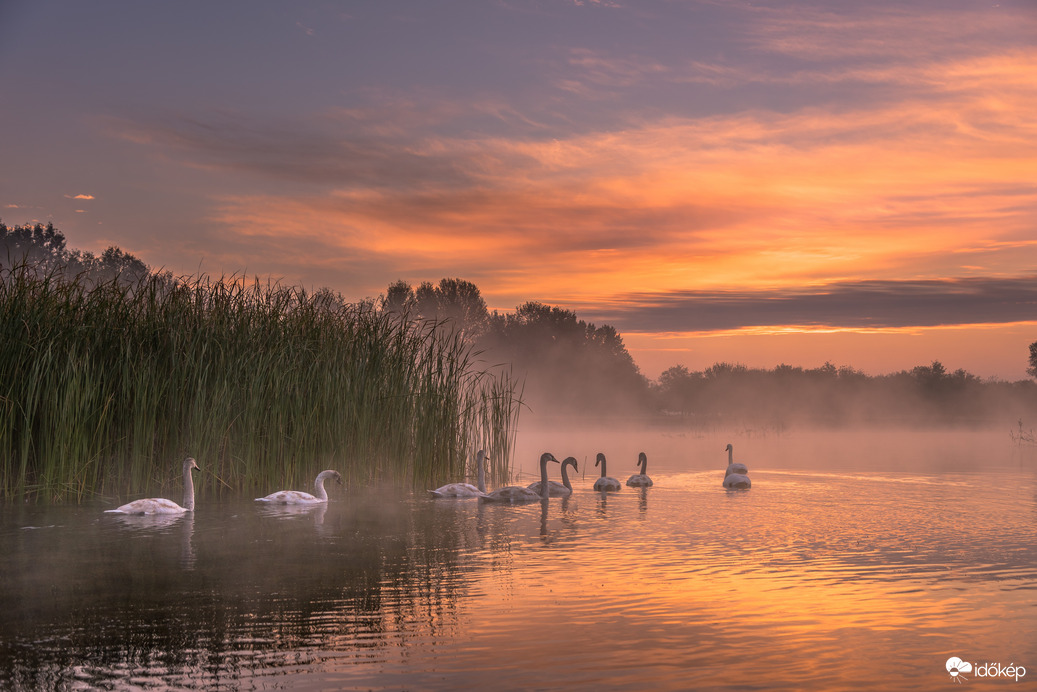 Hajnali útnak indulás