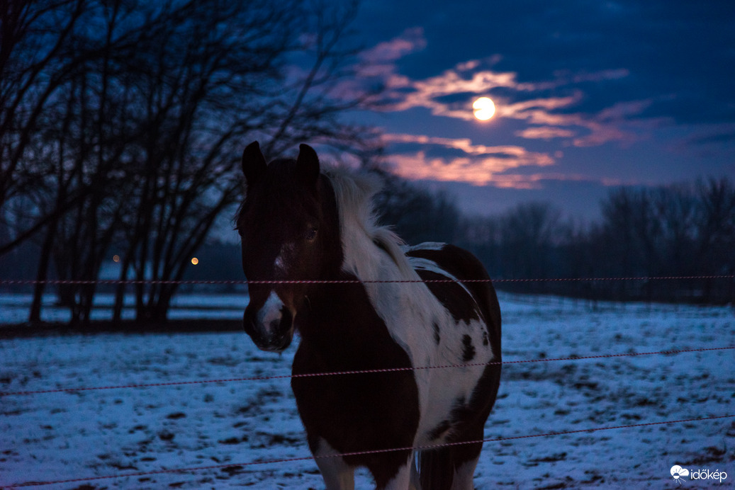 Ha már a paci odajött, akkor gondoltam kattintok róla is 