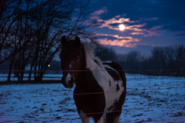 Ha már a paci odajött, akkor gondoltam kattintok róla is 