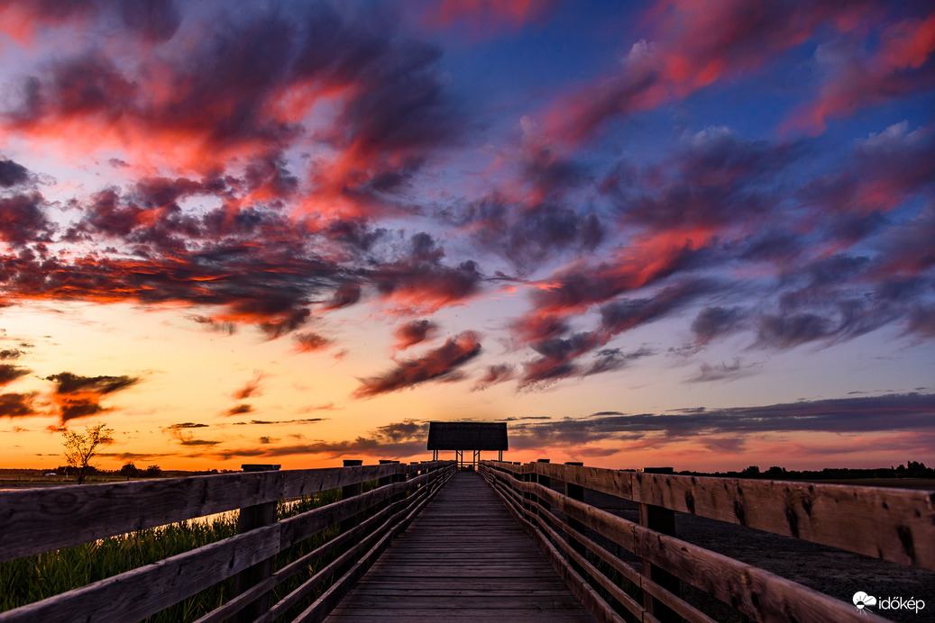 Tegnap esti virgák :)