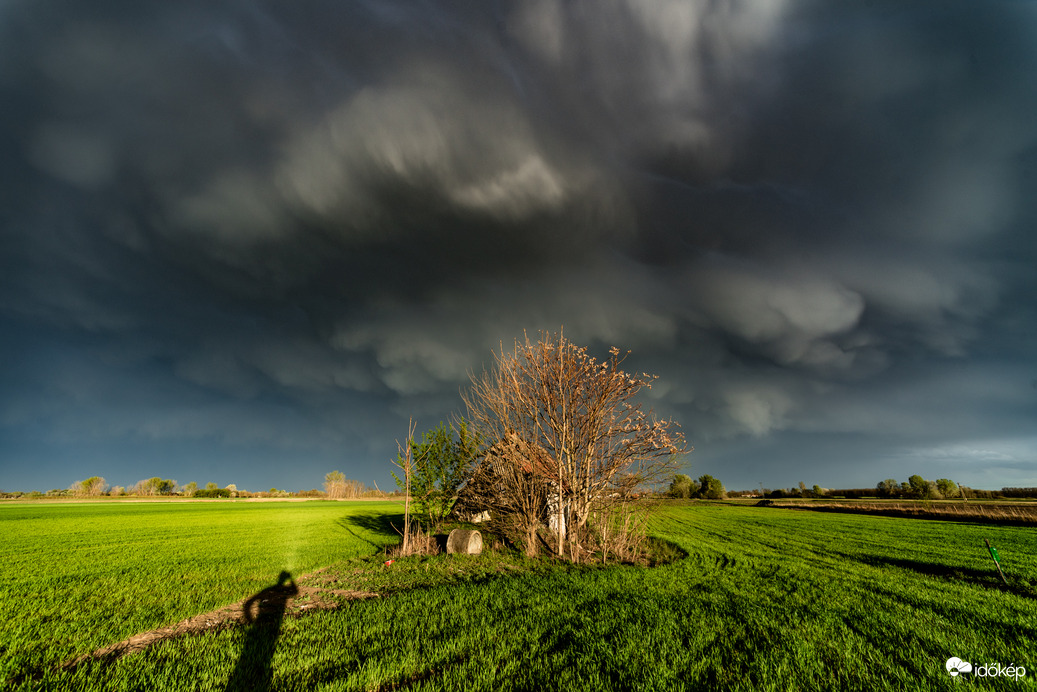 Még egy kedvenc a múlt vasárnapi csodákból :) 
