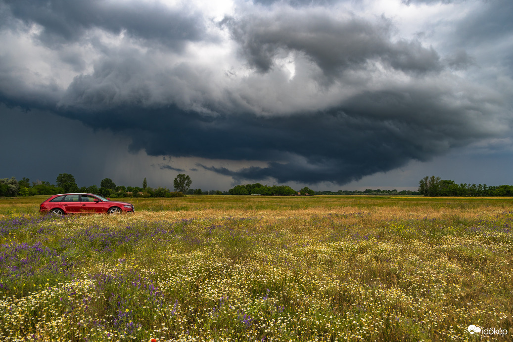 Zsanán valami majdnem elkapott 