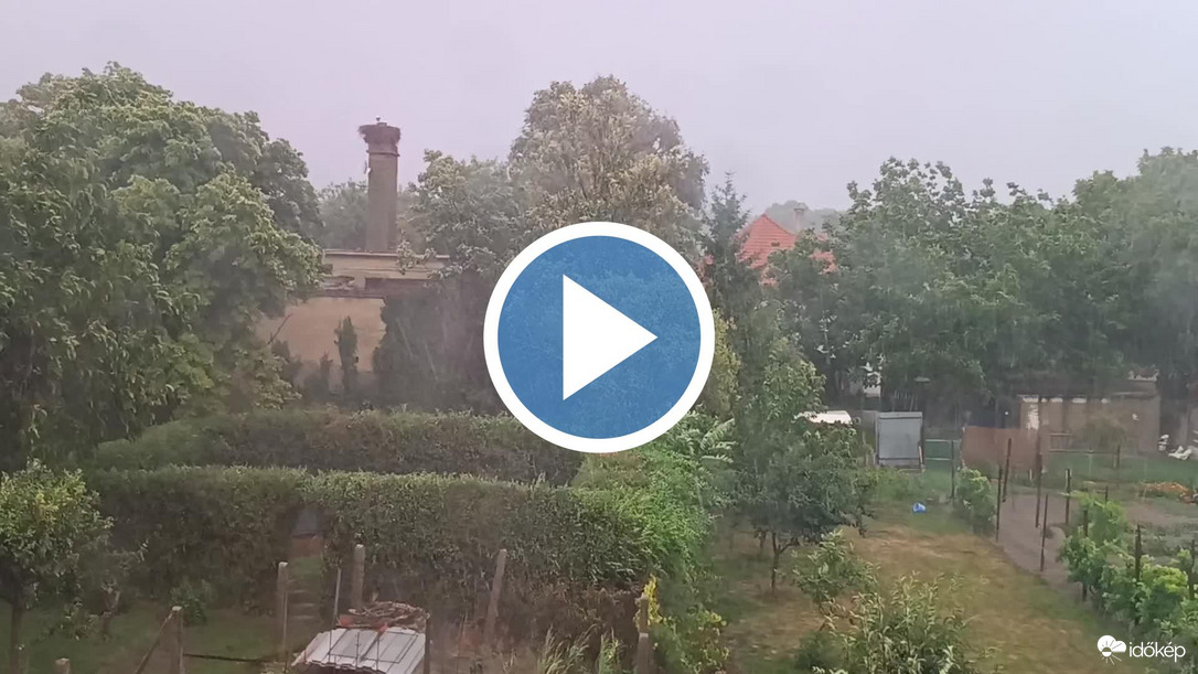Csallóközaranyos