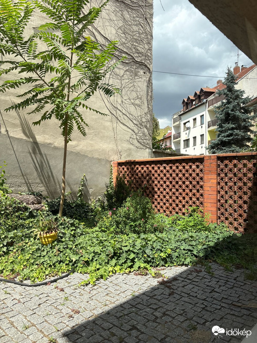 Szeged