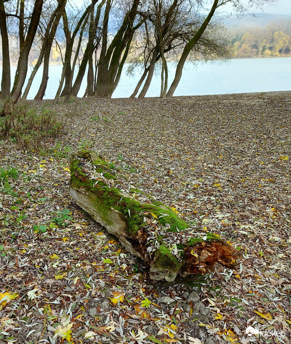Megpihenve