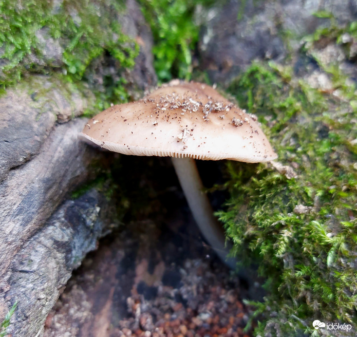 Nézzünk rá felülről is. 