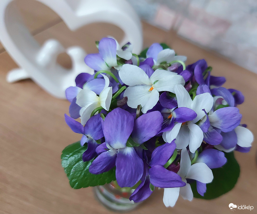 Aprócska örömbomba. :))