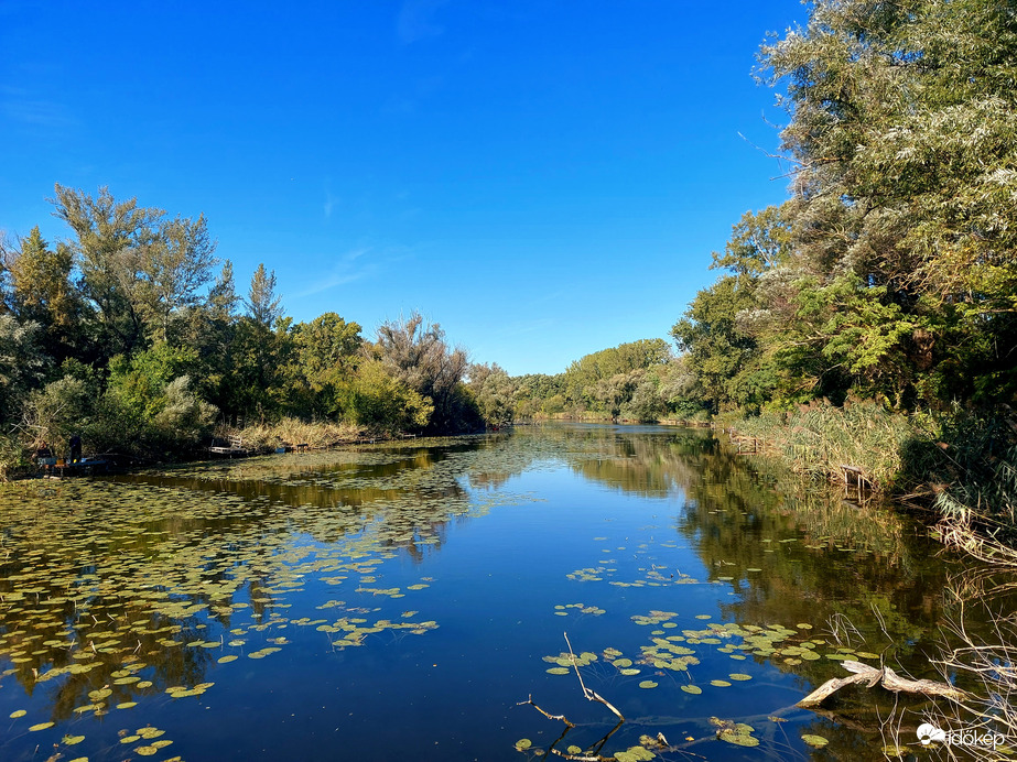 Szombaton még ragyogó kék volt az ég