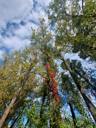 Egy kicsi minden színből.