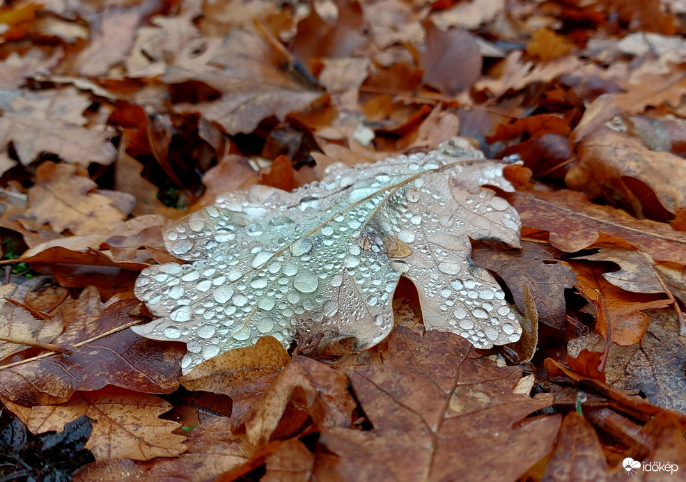 Még egy ékszerezett.