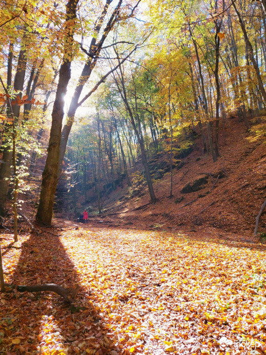 Ördög-árok körtúra egy szép pillanata.
