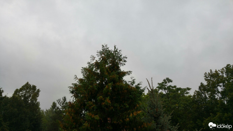Vác