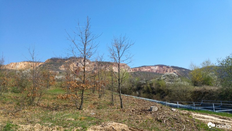 Szendehely