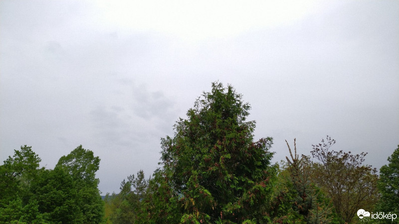 Vác