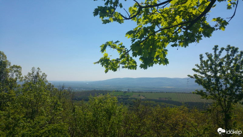 Szendehely