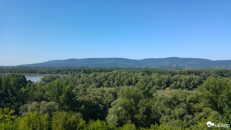 Vác-Nyulas