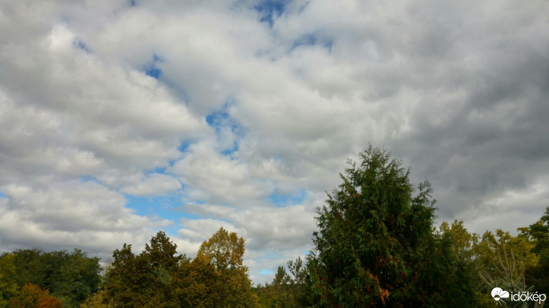 Vác