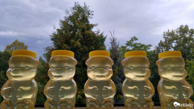 Vác