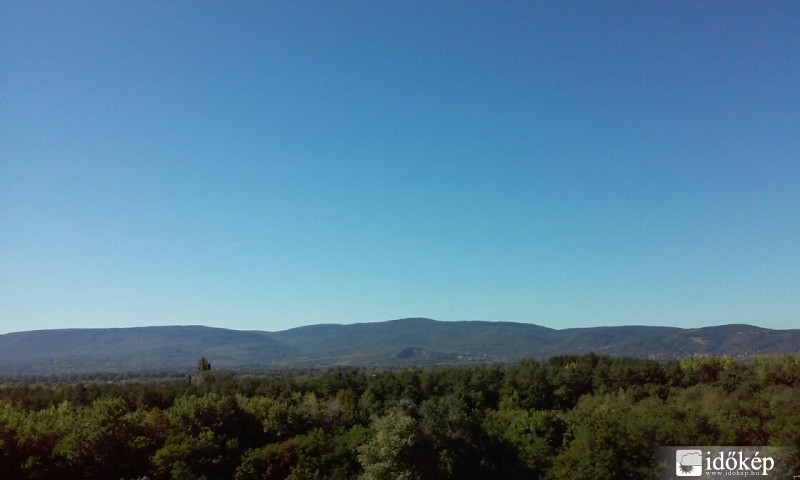 Vác-Nyulas