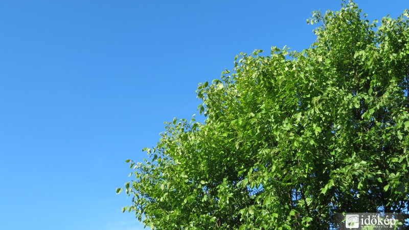 Vác