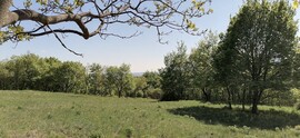 Szendehely